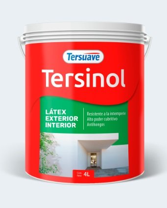 TERSINOL EXTERIOR-INTERIOR 1LTS