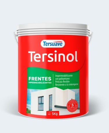 TERSINOL FRENTES X 1.25kg