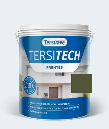 TERSITECH FRENTES VERDE SAF 1LTS