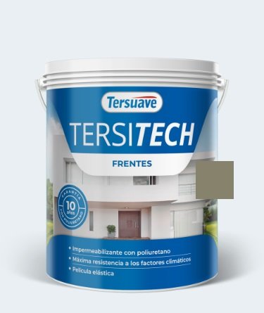 TERSITECH FRENTES GRIS CEMENTO 1LTS